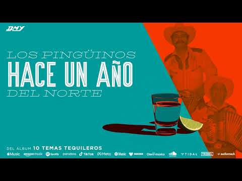 Los Pingüinos Del Norte - Hace Un Año (Audio Oficial)