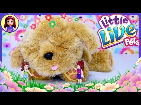 マイドリームパピー　スナッグルズ LITTLE LIVE PETS Snuggles My Dream Puppy for sale online | eBay