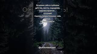 #психология #эзотерика #путьксебе #мировосприятие #древниезнания #пробуждениесилы #магия #руны #таро