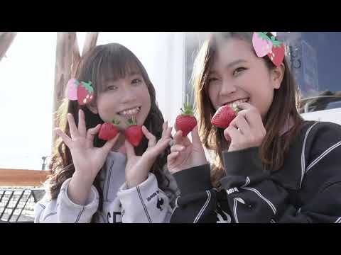 いちごファームkiraraプロモーションムービー