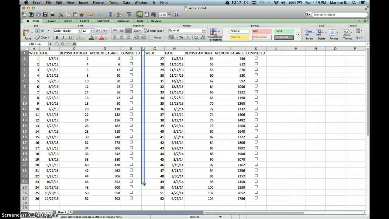 52 Week Penny Challenge Chart