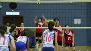 20170501 港運會 女子排球8強 屯門vs油尖旺