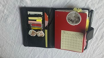 ✨A6 stalogy flipthrough and week setup ✨