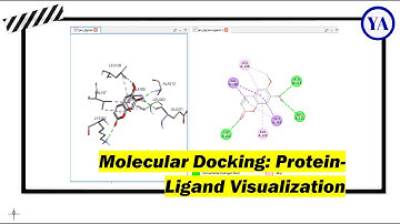 Molecular Docking: Protein-Ligand Visualization