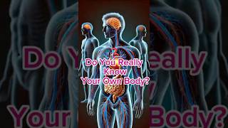 Explore the Dynamic Movements Inside Your Body |  #3danimation #shorts