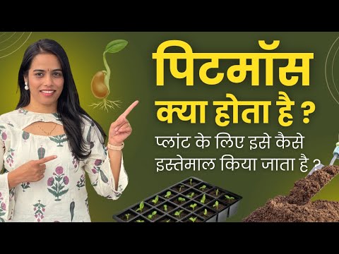 What is Peat Moss? How to Use It in Gardening | Peat Moss Secrets Every Gardener Should Know!(Hindi)