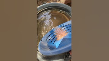 Unbelievable! Look what the Nokta Gold Kruzer picked up