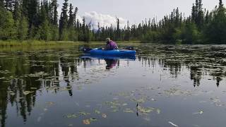 Silver & Van Lakes Kayaking near the McCarthy Road - Alaska