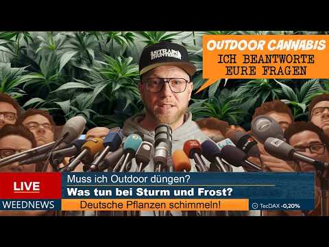 Outdoor Growing Q&A - Your questions answered – No need to worry about mold & other issues! *