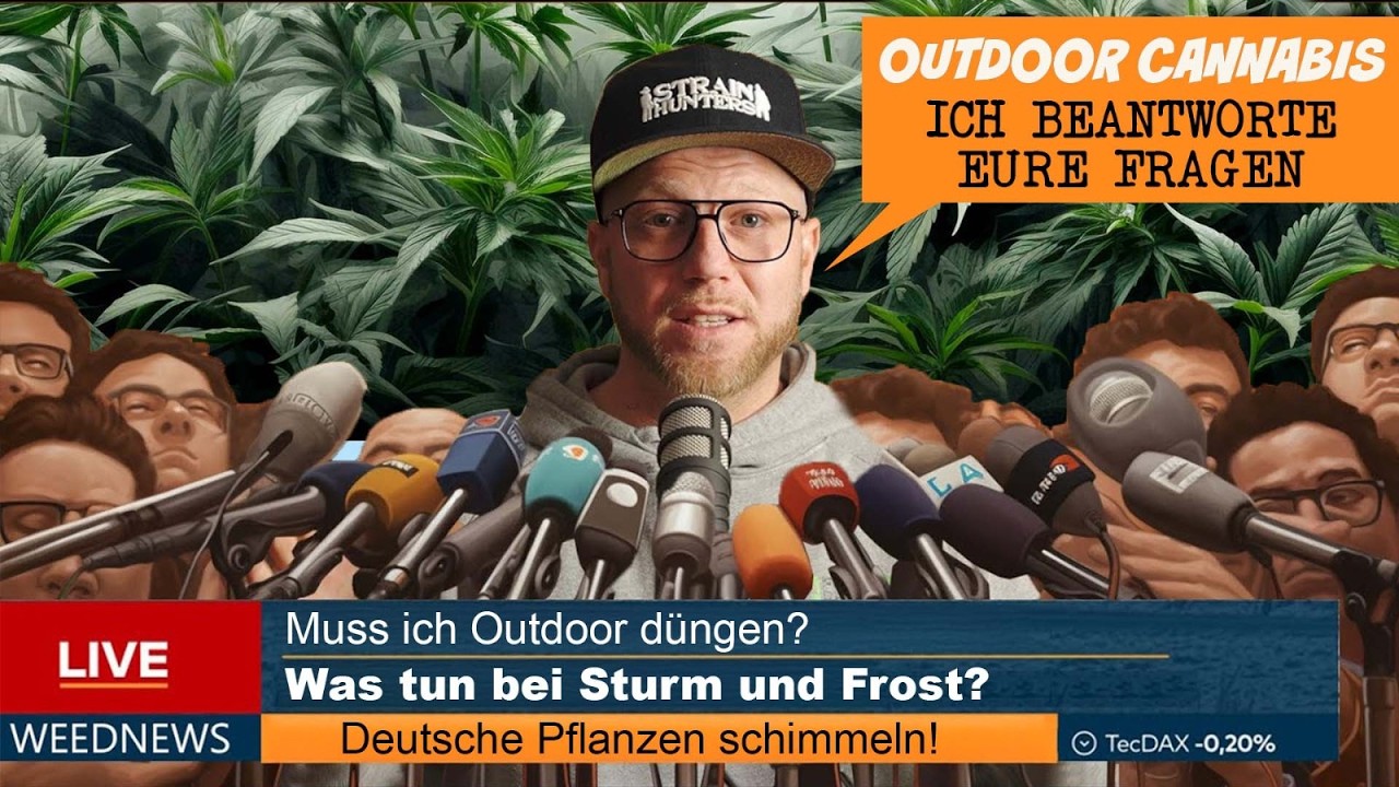 Outdoor Anbau Q&A - Eure Fragen beantwortet – Keine Angst vor Schimmel & Co! *