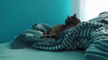 Wikiloops collaboration #159026 - Take a rest