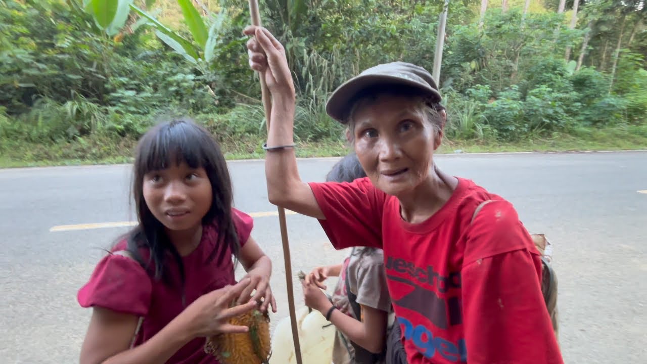 SUDAH PUNYA RUMAH, MEREKA LEBIH SENANG BERMALAM DI  PONDOK HUTAN; CERITA SUKU PUNAN KALIMANTAN