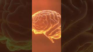 Subconscious Reprogramming Masterclass