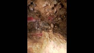 S1 E5 THE NUGGET KING AND MAURICE EDUCATIONAL SERIES INTO THE GOLD ADIT