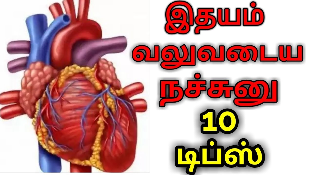 TOP 10 FOODS FOR HEART HEALTH IN TAMIL | FREETIME TAMIL | FT - YouTube