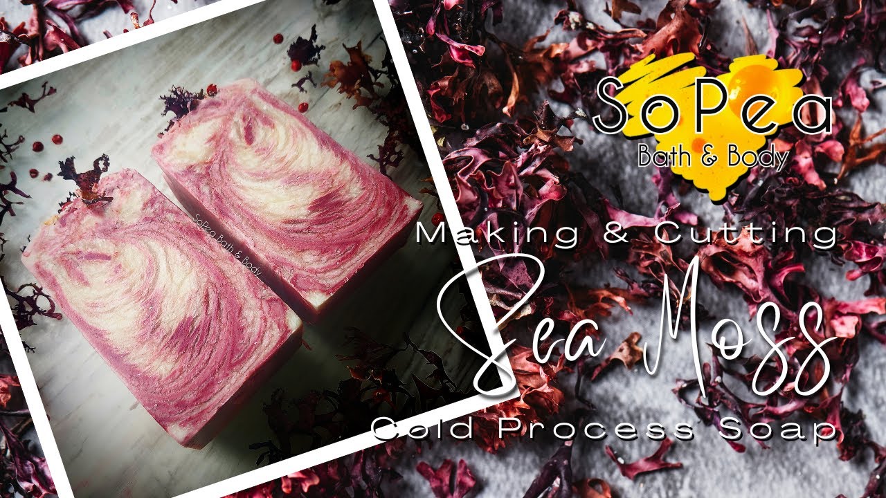 Come Make Sea Moss Cold Process Soap With Me | Project Soapway WINNER! | Real Time, Relaxed, ASMR