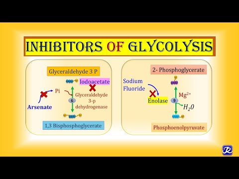 8: Inhibitors of Glycolysis | Carbohydrates Metabolism-8 | Biochemistry | N&rsquo;JOY Biochemistry