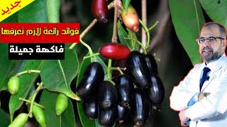 كتير من المصريين لا يعرفون هذه الفاكهة الرائعة - فوائد رائعة  - البامبوزيا - دكتور جودة محمد عواد