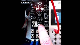 Repetita Versio - Manual recording mode