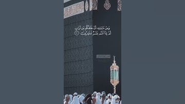 ماتيّسر من سورة الروم | وَمِنْ آياتِهِ أَنْ خَلَقَكُمْ مِّن تُرَابٍ | الشيخ د. ماهر المعيقلي