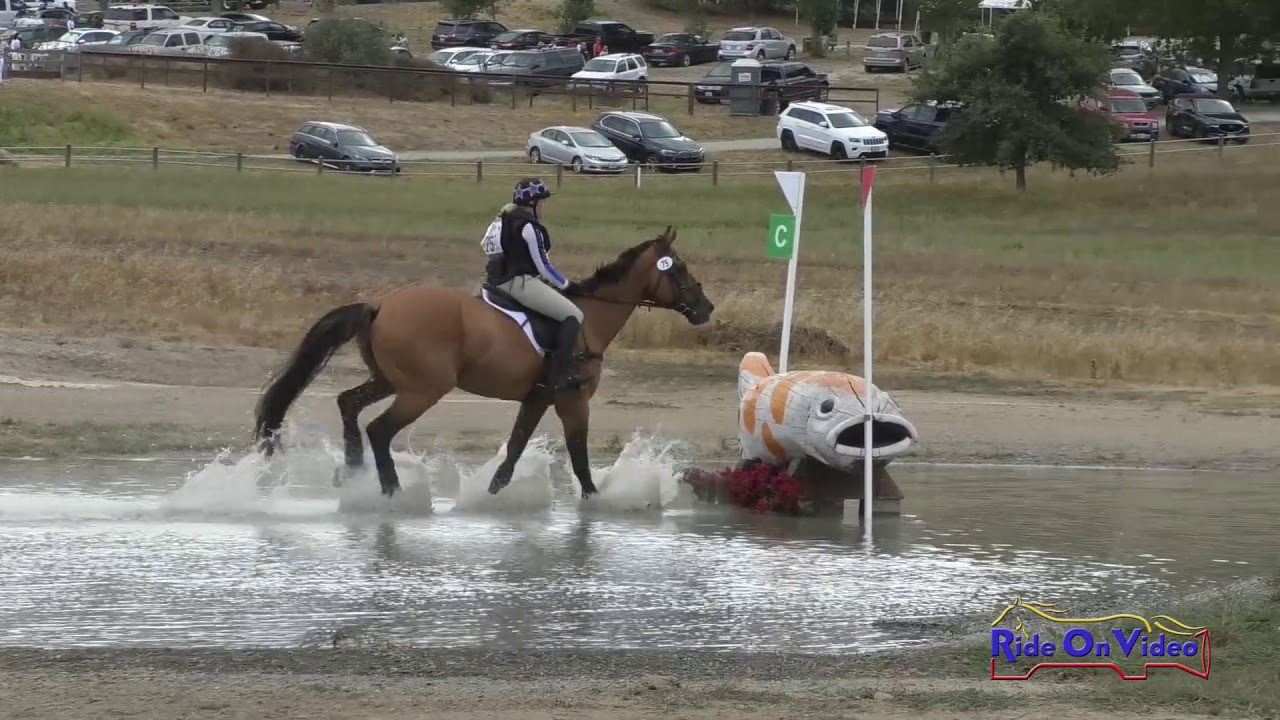 horseshoe bend 075XC Barbara Slaughter on Catchy One Liner Preliminary Rider Cross Country Woodside August 2019