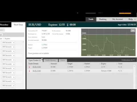 Binary Options Scams Can't Crack Proteus Elite Binary Software