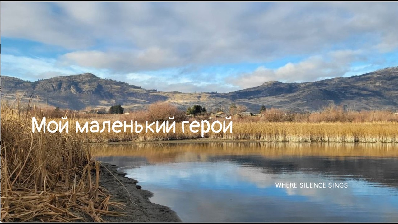 Мой маленький герой 