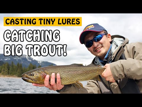 Catching BIG CUTTHROAT