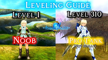 Noob to Pro Tank Leveling Guide (Level 1–310) | Toram Online