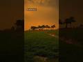 Tufan ki awaaz#YouTube short video#shri #l #new #2025