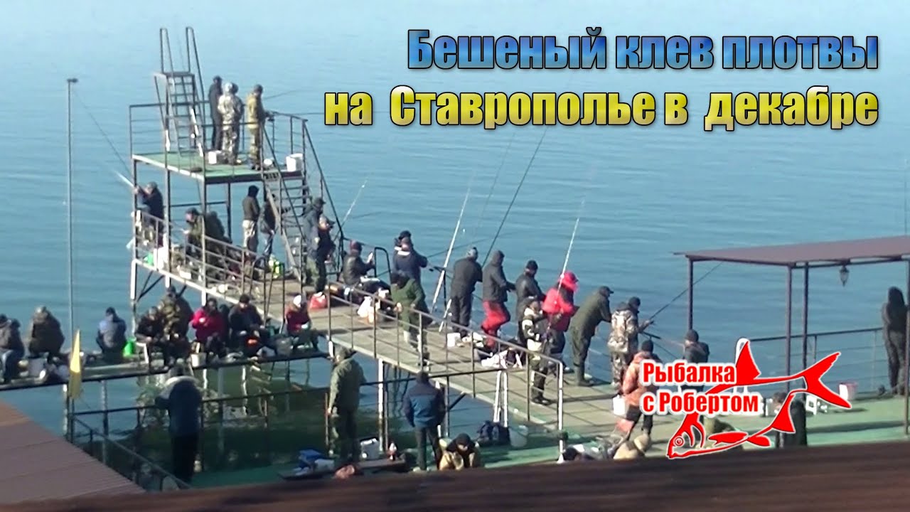 Отдых на Новотроицком водохранилище в Ставропольском крае, базы отдыха, палатки,