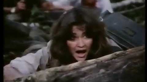 Firebird Conspiracy, 1984. 2/5