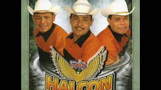 De Rodillas Te Pido - Trio Halcon Huasteco chords