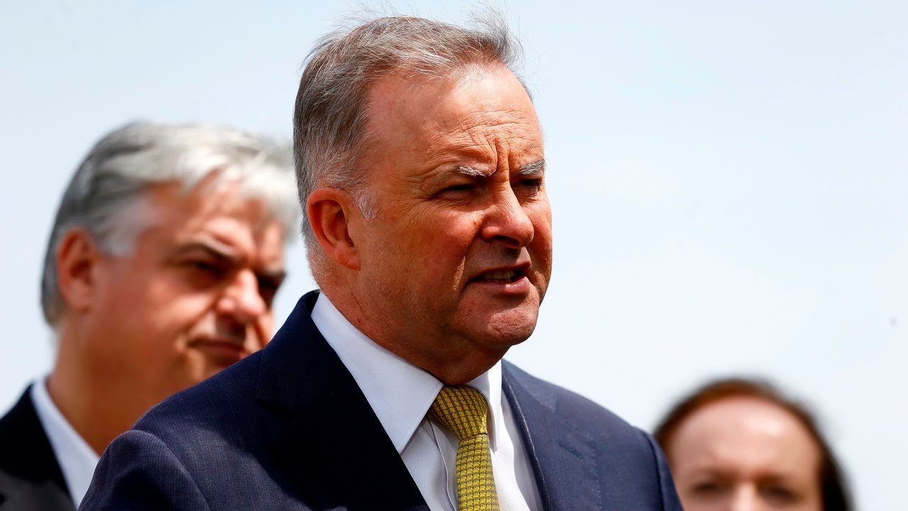 Albanese calls for government 'accountability' throughout coronavirus crisis