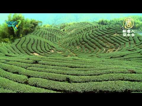 [HD] 南投竹山的天梯預告片│八卦茶園│Jushan, Nantou county, Taiwan│1000步的繽紛台灣