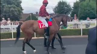 Cieren Fallon Getting Legged Up On Mise En Scene