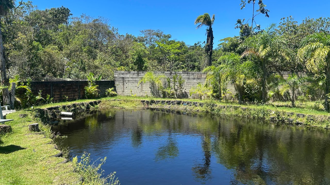 ✅ Chácara 300 mil entrada 39 parcelas de 5 mil dois lagos de peixe 2 mil metros 495 mil Itanhaém SP 