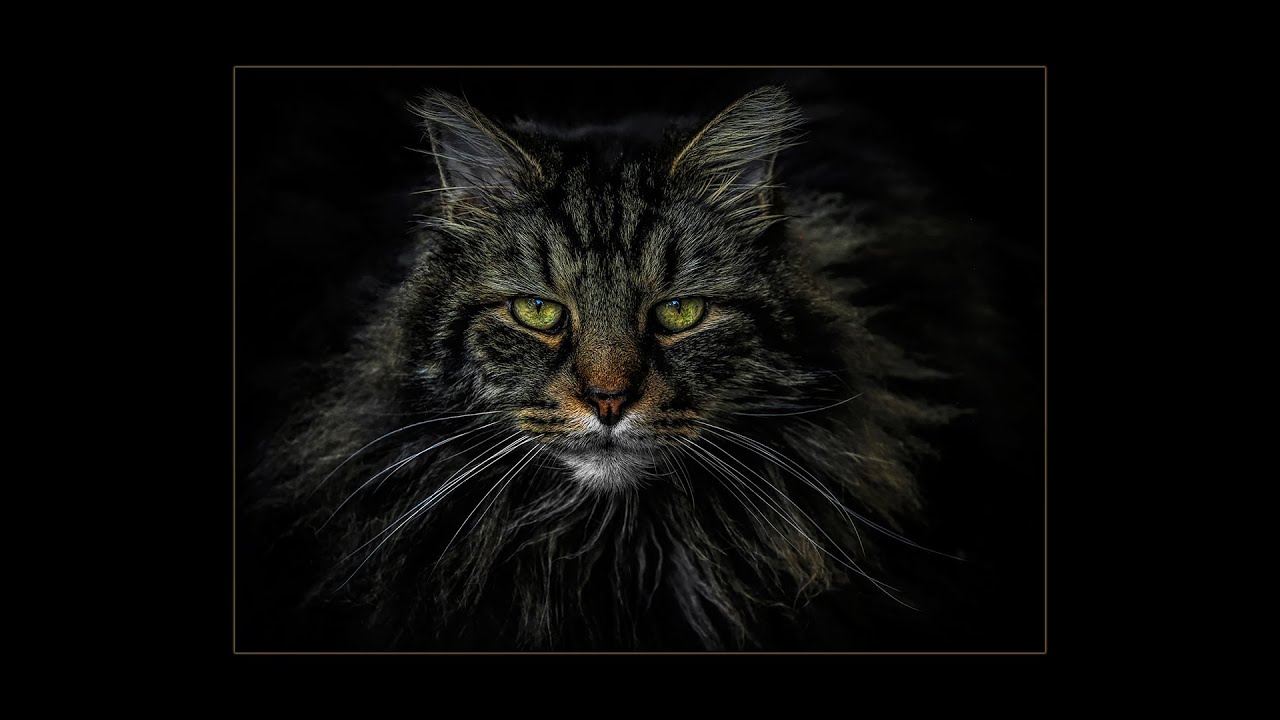 2022 NFRCC Digital Image Salon