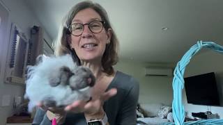 Sleepy Bunny Needle Felting with Jane Lybecker