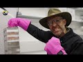 Genetic Breakthrough! My Private Tour of a Top-Secret BioLab