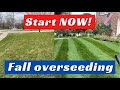 Lawn Overseeding in fall: How YOU can transform your lawn!!