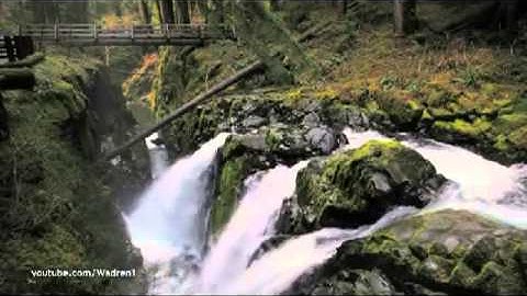 تلاوة جميلة من سورة آل عمران للقارىء مشاري العفاسي