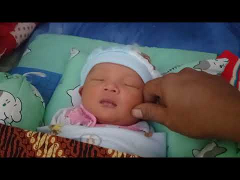 Muhammad alfatih di tingal ayah kerja