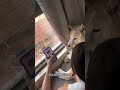 想看帥狗狗😡