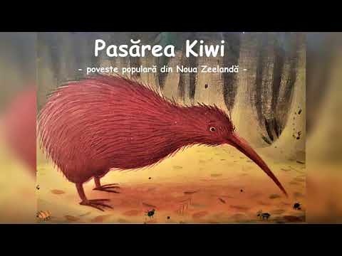 Video: Unde să găsești pasărea Kiwi în Noua Zeelandă