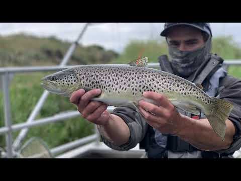 Snake River Monitoring Effort
