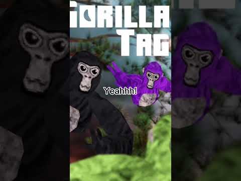 Drop your requests in the comments #gorillatag #gorillatagquest #gtag