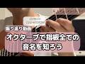 【ギター初心者から少し詳しくなりたい方】オクターブを利用して指板全ての音名を知ろう