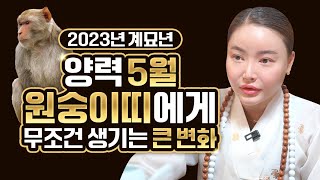 [2023년 대박나는 띠 5월 원숭이띠운세] 원숭이띠에게 생기는 큰 변화 / 걱정 말아라 5월에 무조건 대박…