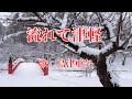 流れて津軽 島津亜矢